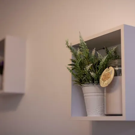 Insula * 斯普利特